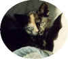 Cleo