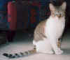 Save0005.jpg (43593 Byte)