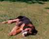 timmy.jpg (49503 Byte)